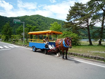 トテ馬車