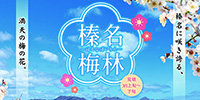 榛名の梅祭り